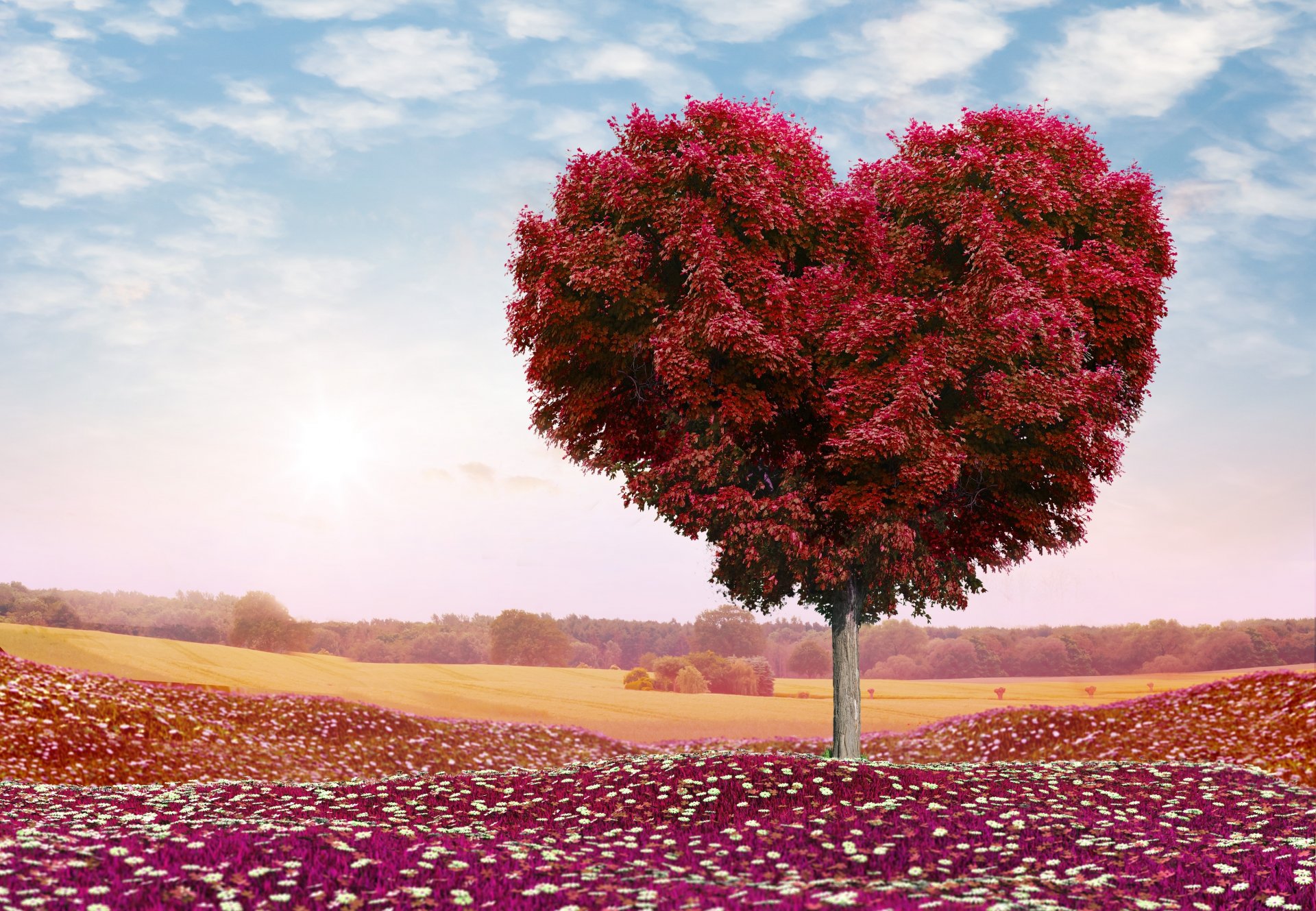 amore romanzi rosa albero campo fiori cielo nuvole rose natura san valentino romanticismo cuore