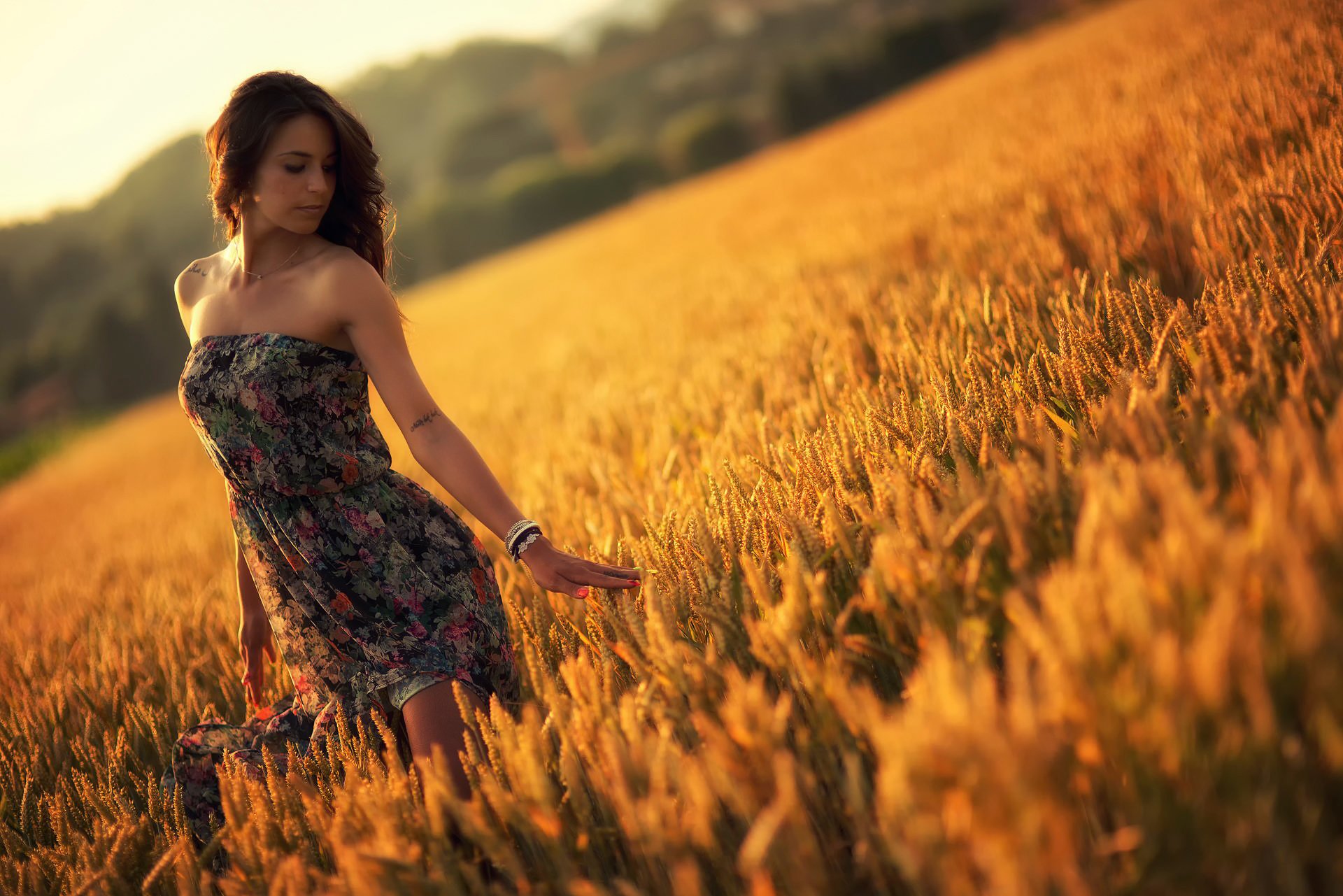 verano chica vestido campo puesta de sol