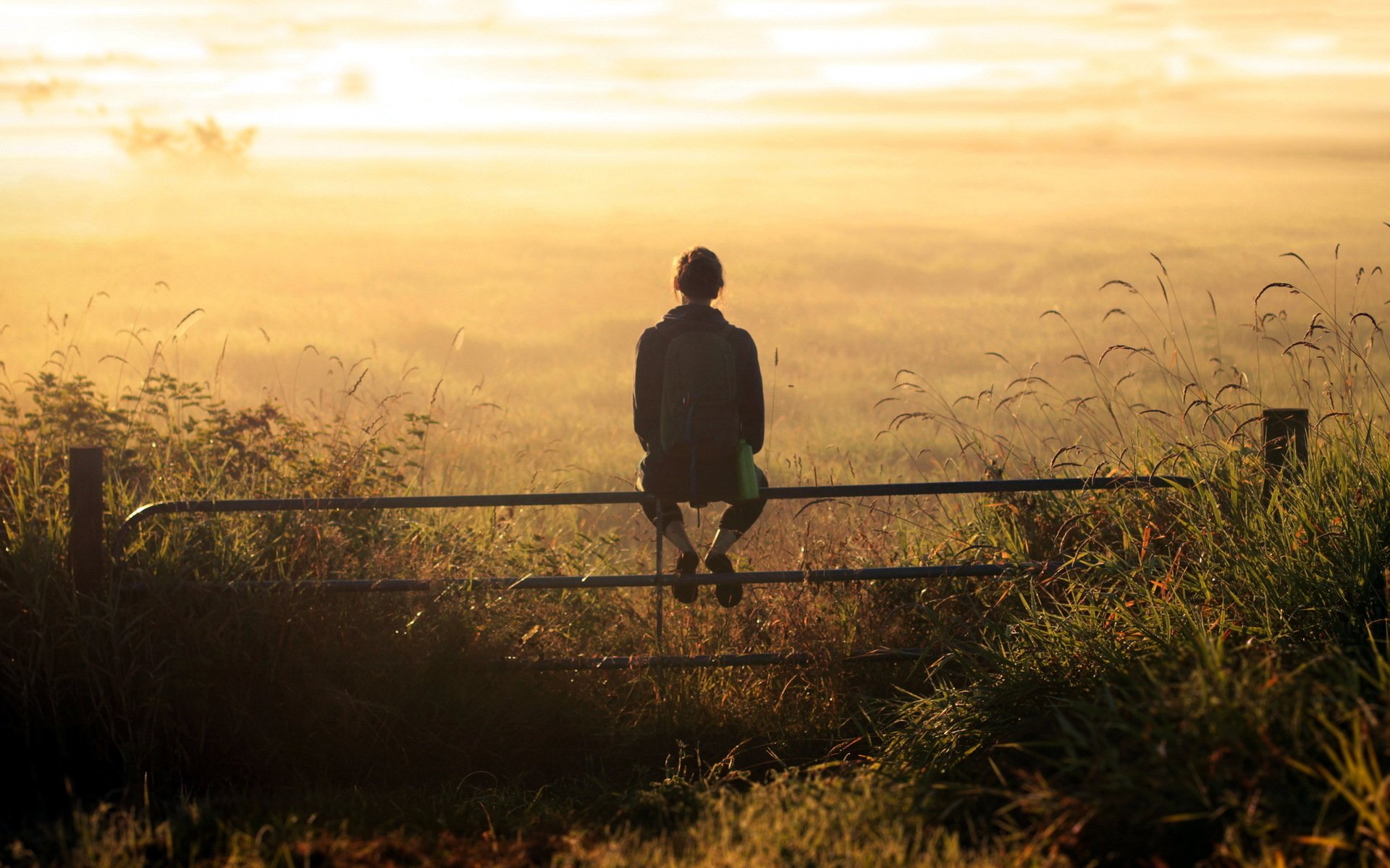 girl fence the field morning light mood