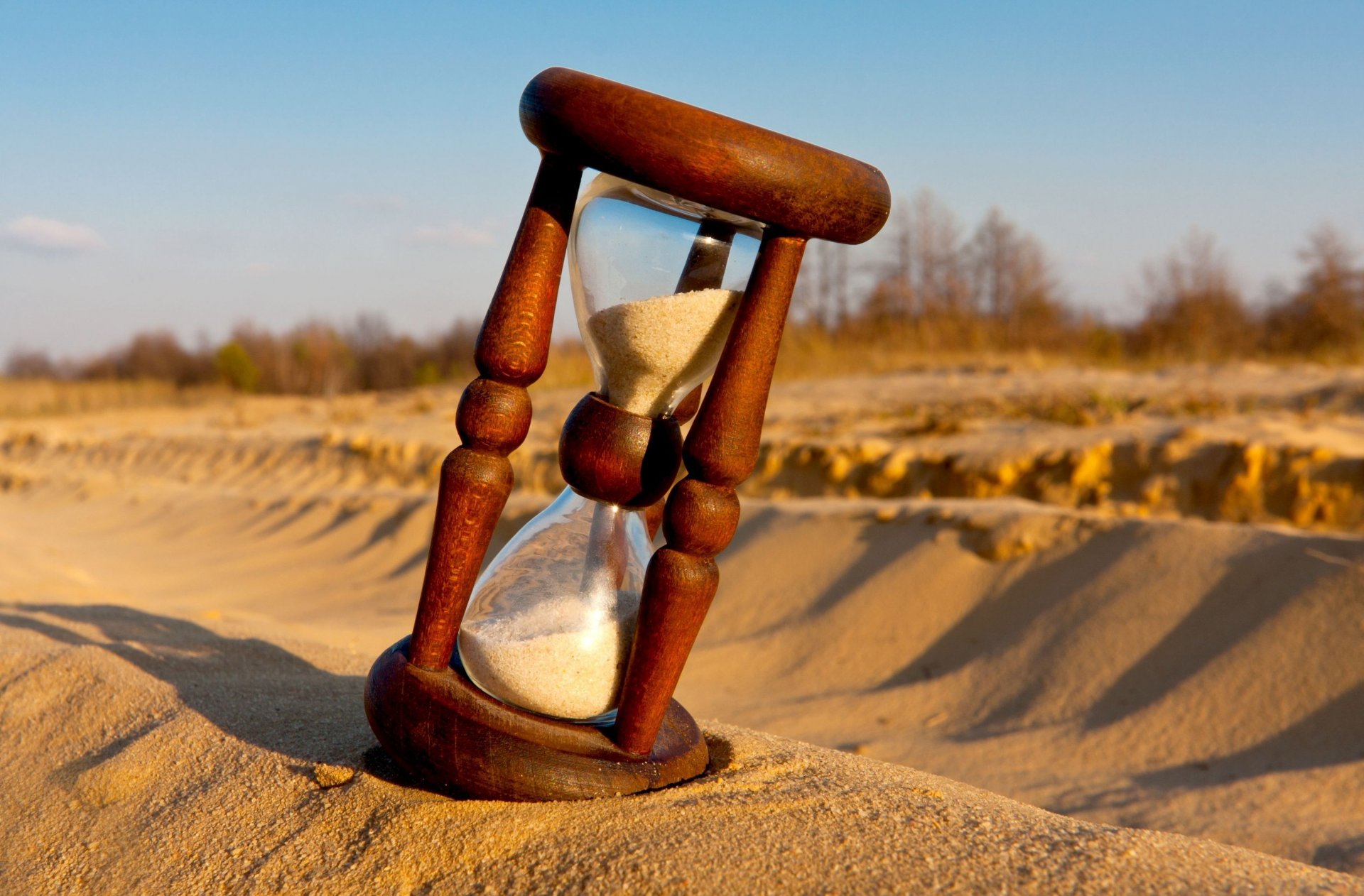 mood hourglass sand tree shadow day background wallpaper widescreen full screen hd wallpaper