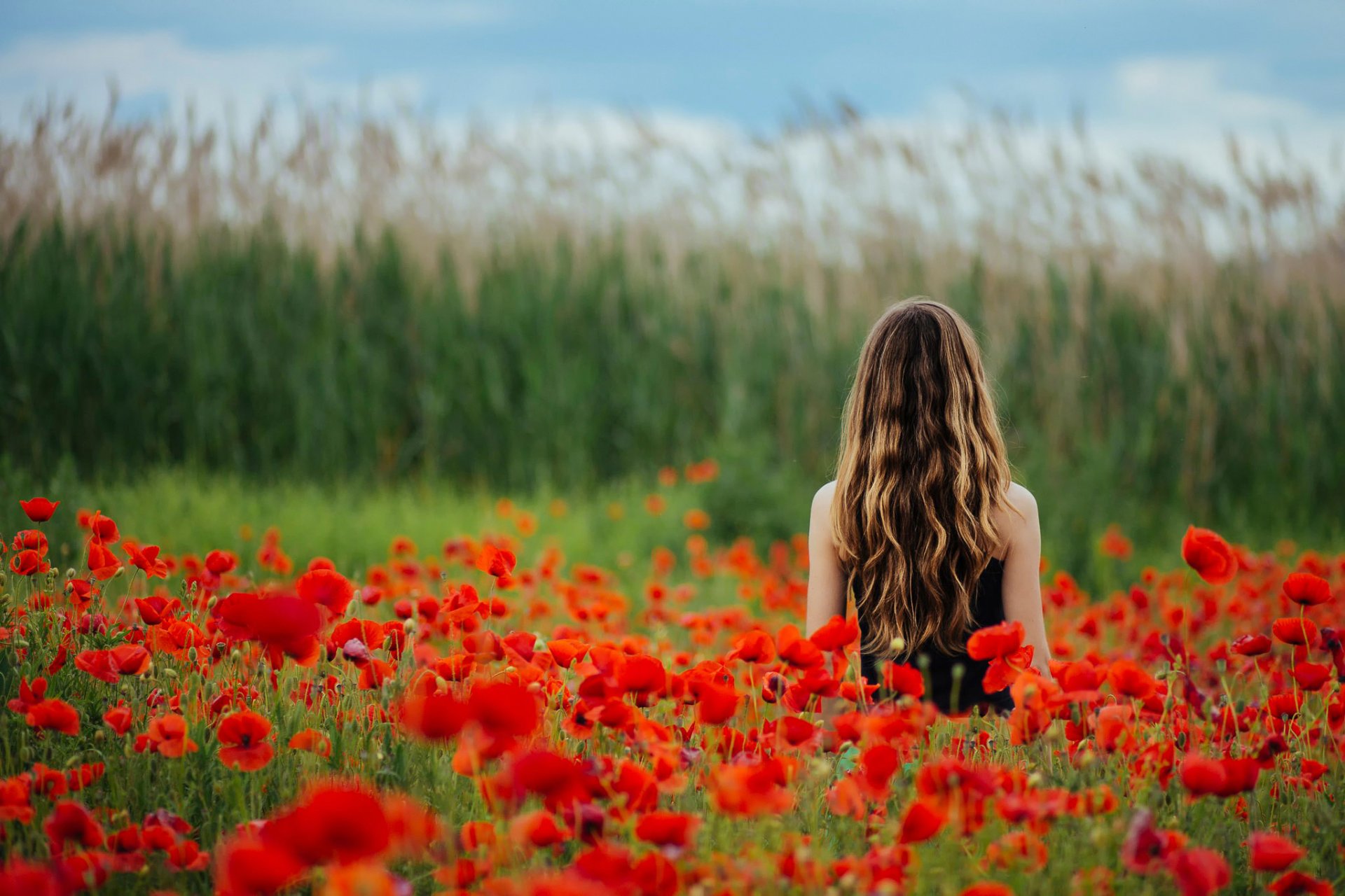 amapolas campo flores chica