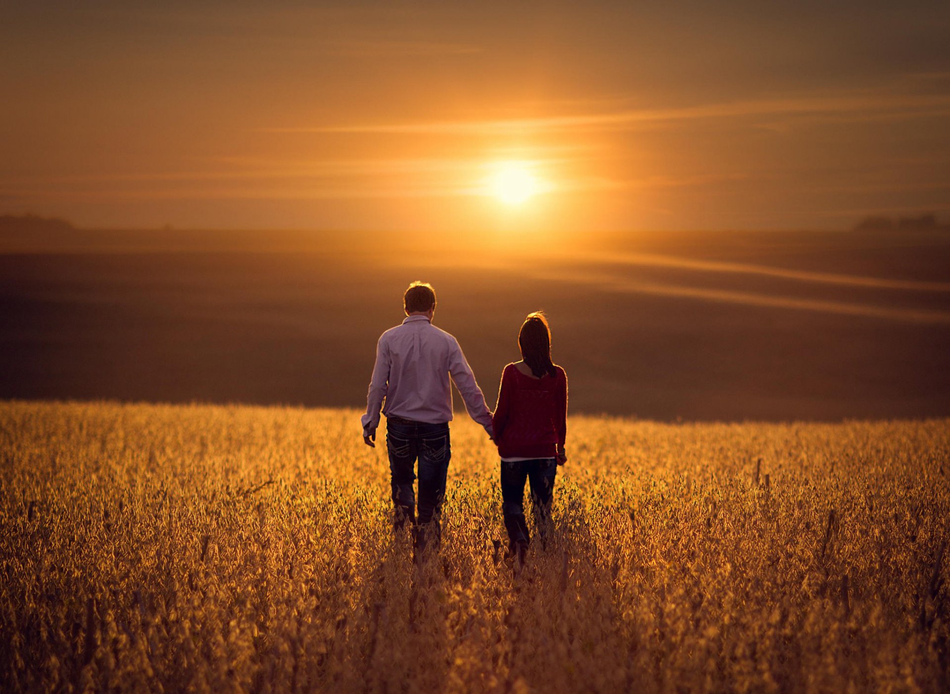 the pair the field sun