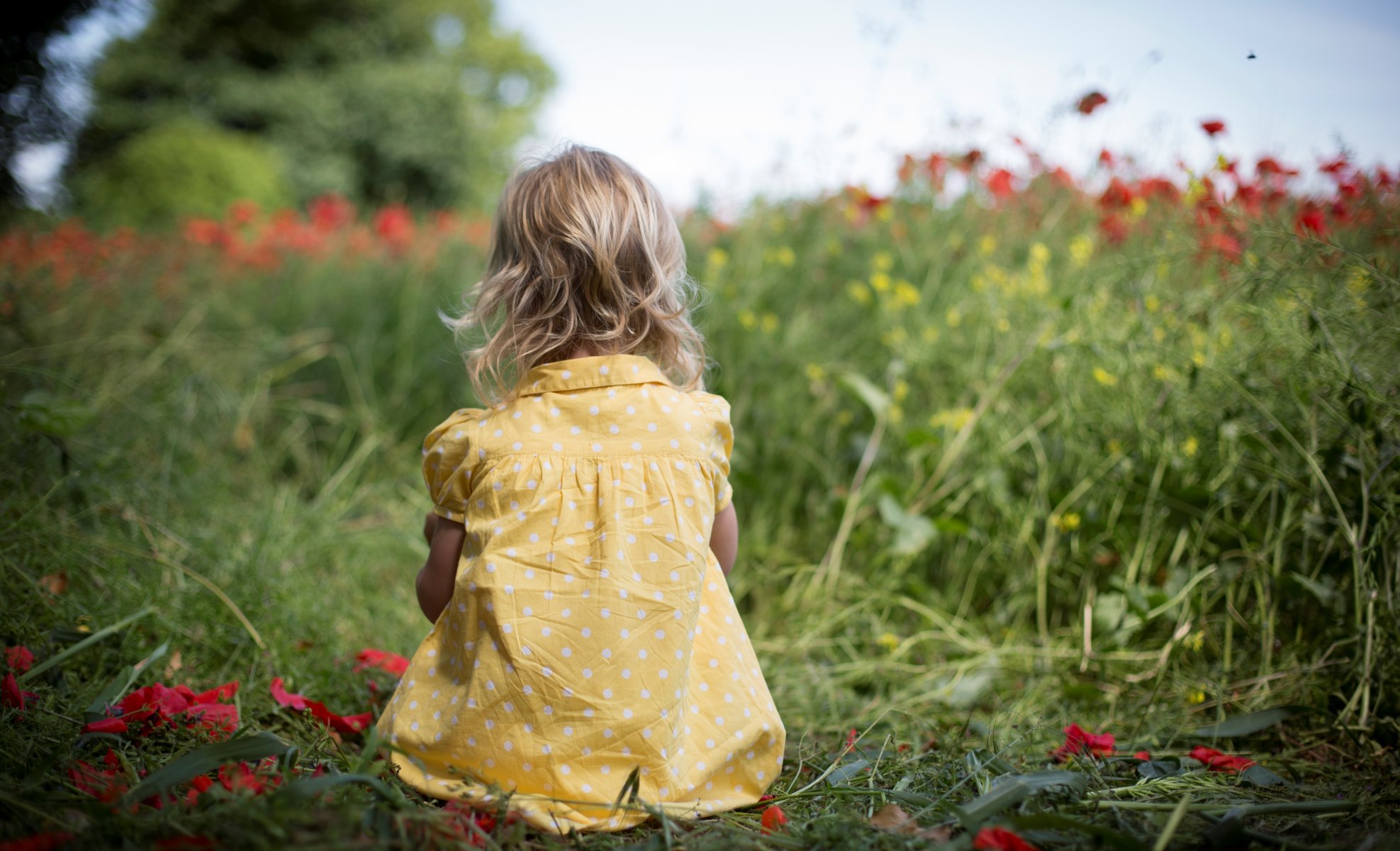 stati d animo bambini bambini ragazza bambino bambino bambino vestito pois erba verde fiori fiori. rosso natura campo sfondo carta da parati widescreen a schermo intero widescreen widescreen