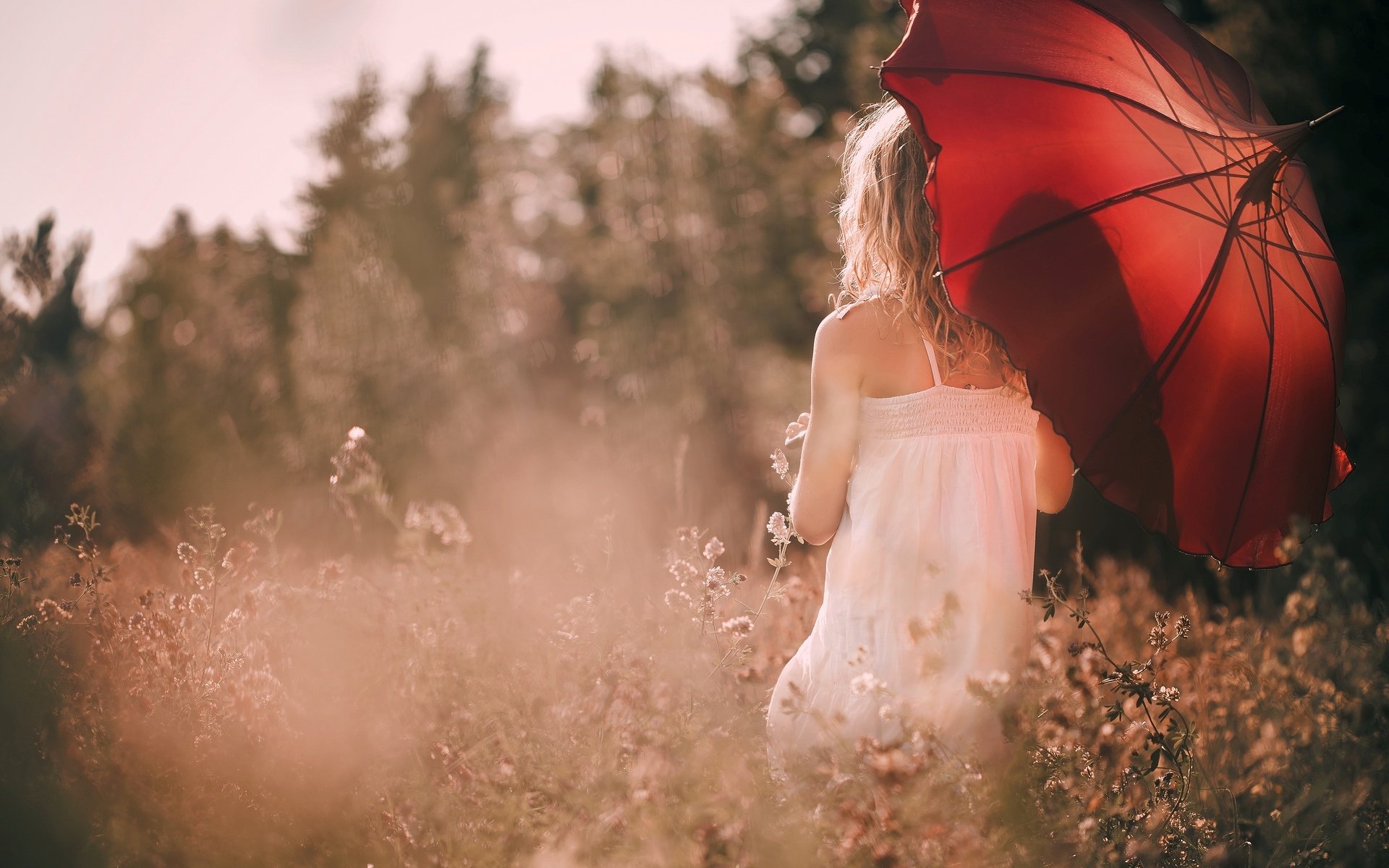 humeur fille. parapluie rouge nature plantes fleurs champ soleil fond papier peint écran large plein écran écran large écran large