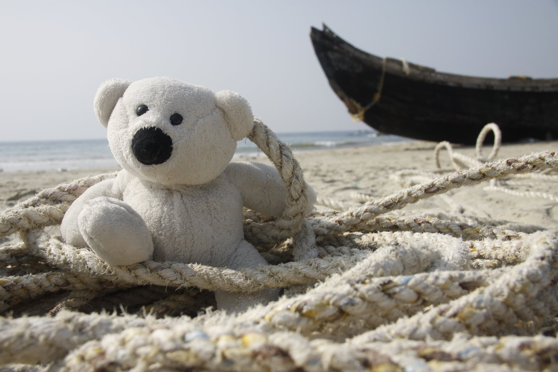 stimmung hintergrund tapete teddybär weiß fischer seil boot indien meer ufer