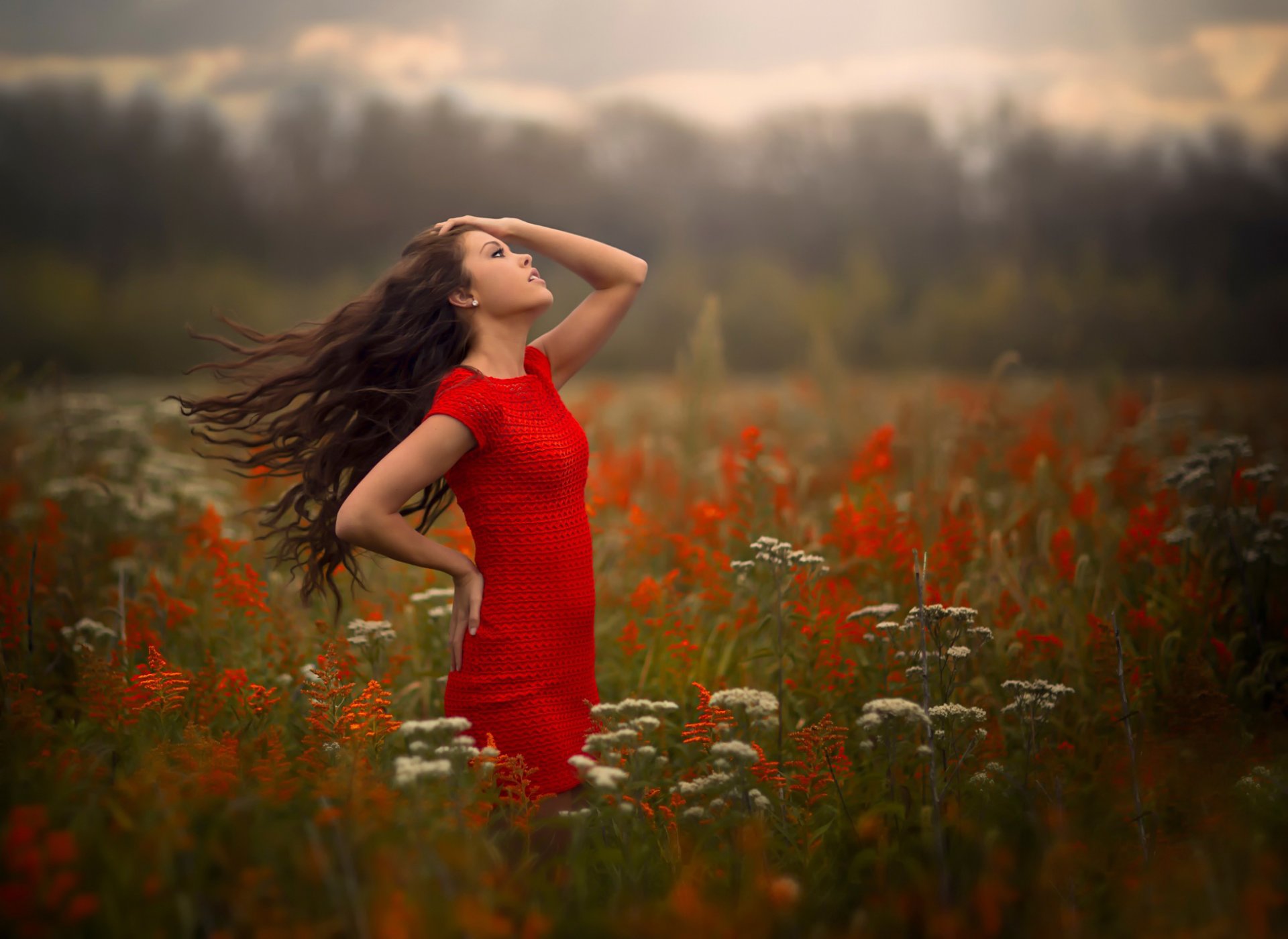 brisa chica en rojo viento campo