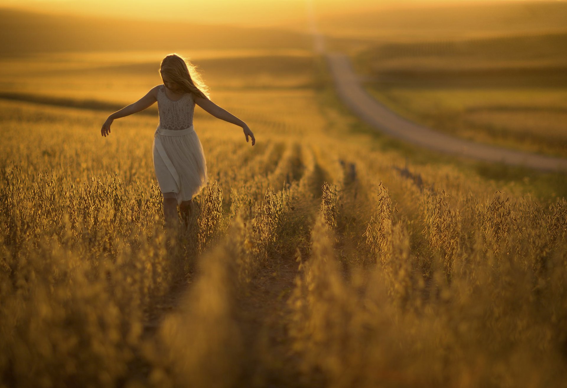 ragazza campo sole strada bokeh