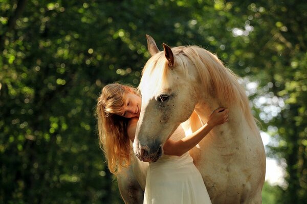 A girl with a horse on a clear sunny day