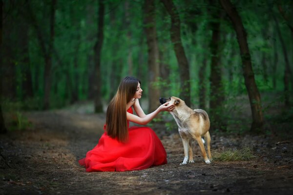 Ein Mädchen im roten Kleid, mit einem Hund. Eine Proogulka im Wald