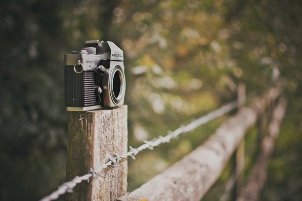 The camera stands on a bar of a deveva fence in the forest