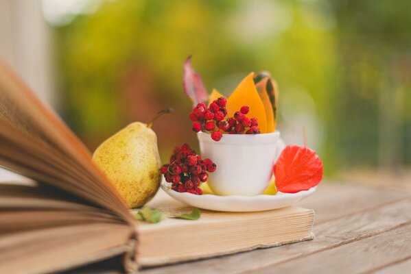 A cup with a branch in a book with a pear