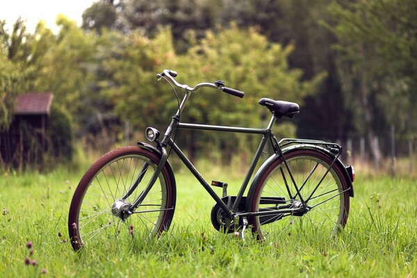 Vintage bicycle on the background of nature