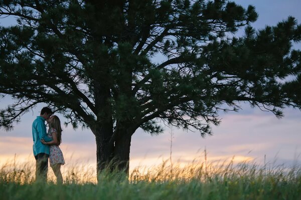 Couple kissing under a huge tree