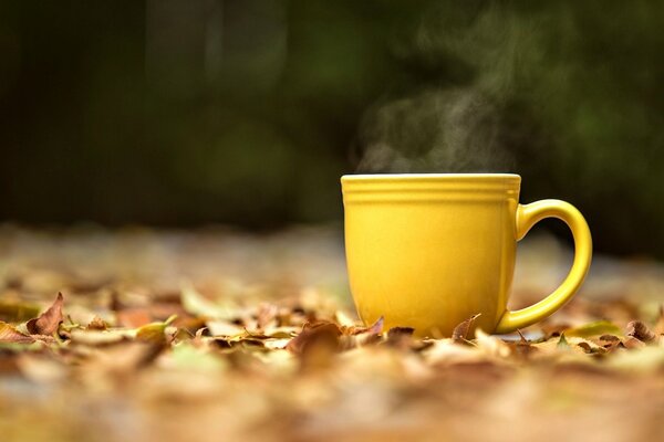 Tasse mit Dampf auf Herbstlaub