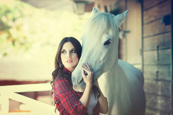 Mädchen mit Pferd nettes Foto