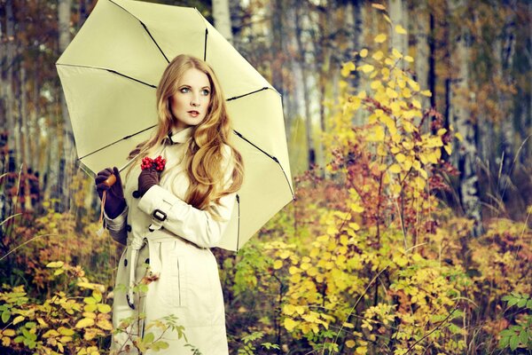 Belleza del bosque de otoño. Chica con paraguas