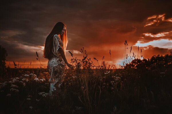 La jeune fille avec de longs cheveux sur le fond d un beau coucher de soleil