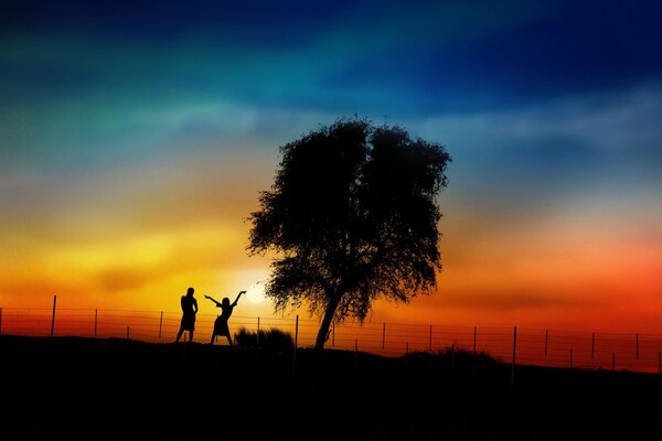 Silhouettes de couple et arbre au coucher du soleil