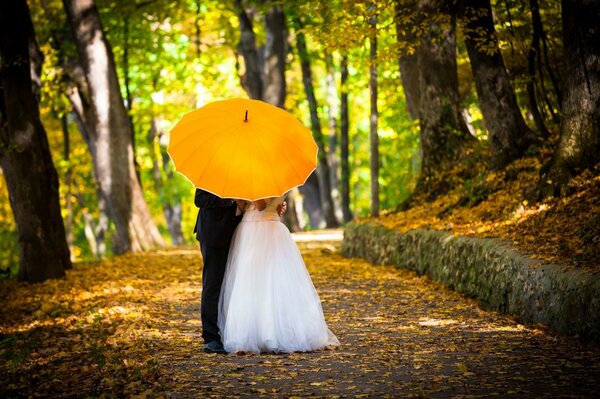 Newlyweds with a yellow umbrella on the alley