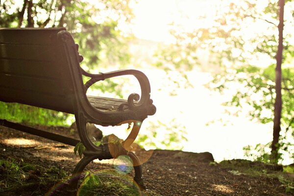 Banc vide dans la forêt au bord du lac. Ska