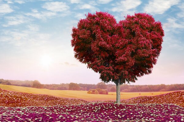 Albero dell amore su sfondo rosa tramonto