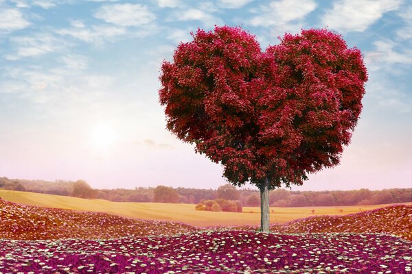 Дерево любви на фоне розового заката