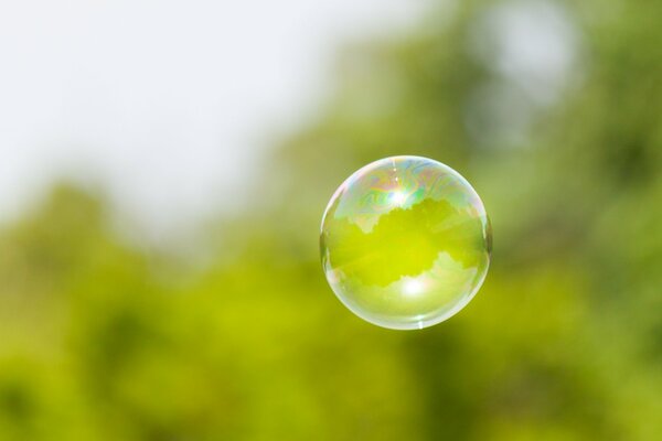 A soap bubble on a blurry background