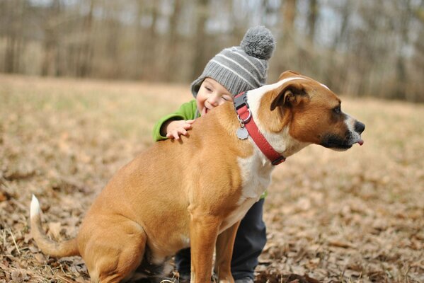 Ein Junge mit einem Lächeln umarmt einen Hund