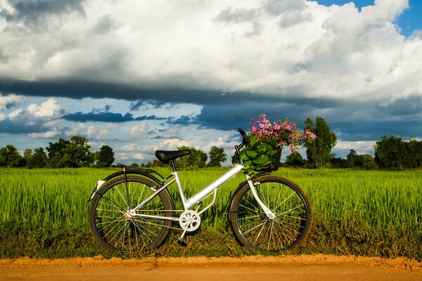 Full-screen wallpaper for mood with meadow and bike summer