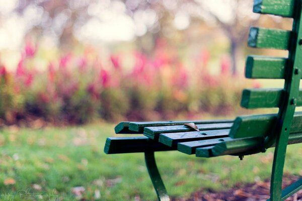Осеннее настроение на скамейке в парке