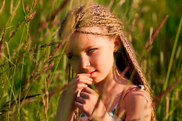 Девочка с косичками летом в поле