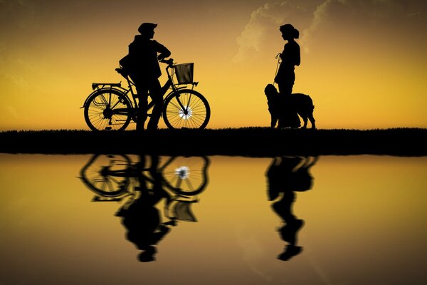 Un mec sur un vélo. La silhouette de la fille avec le chien
