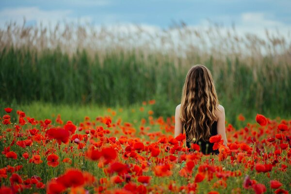 Ragazza sullo sfondo di un campo di papavero rosso nei fiori