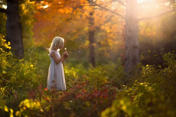 A girl in a dress in the autumn forest holds a dandelion in her hand