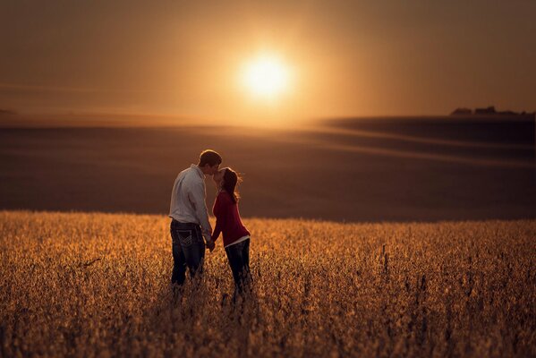 Beau couple dans un champ au coucher du soleil