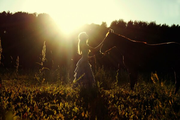 Fille avec cheval sur fond de forêt et le soleil couchant