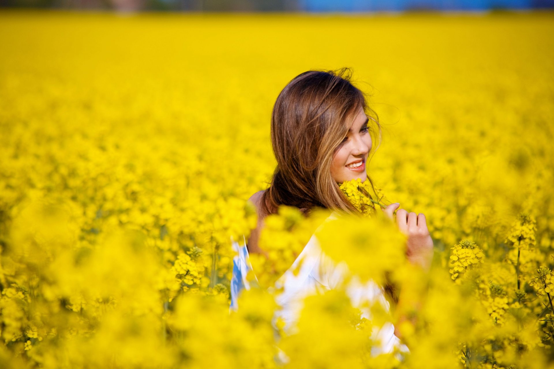 estado de ánimo chica sonrisa campo flores flores amarillo fondo pantalla ancha pantalla completa pantalla ancha fondo de pantalla