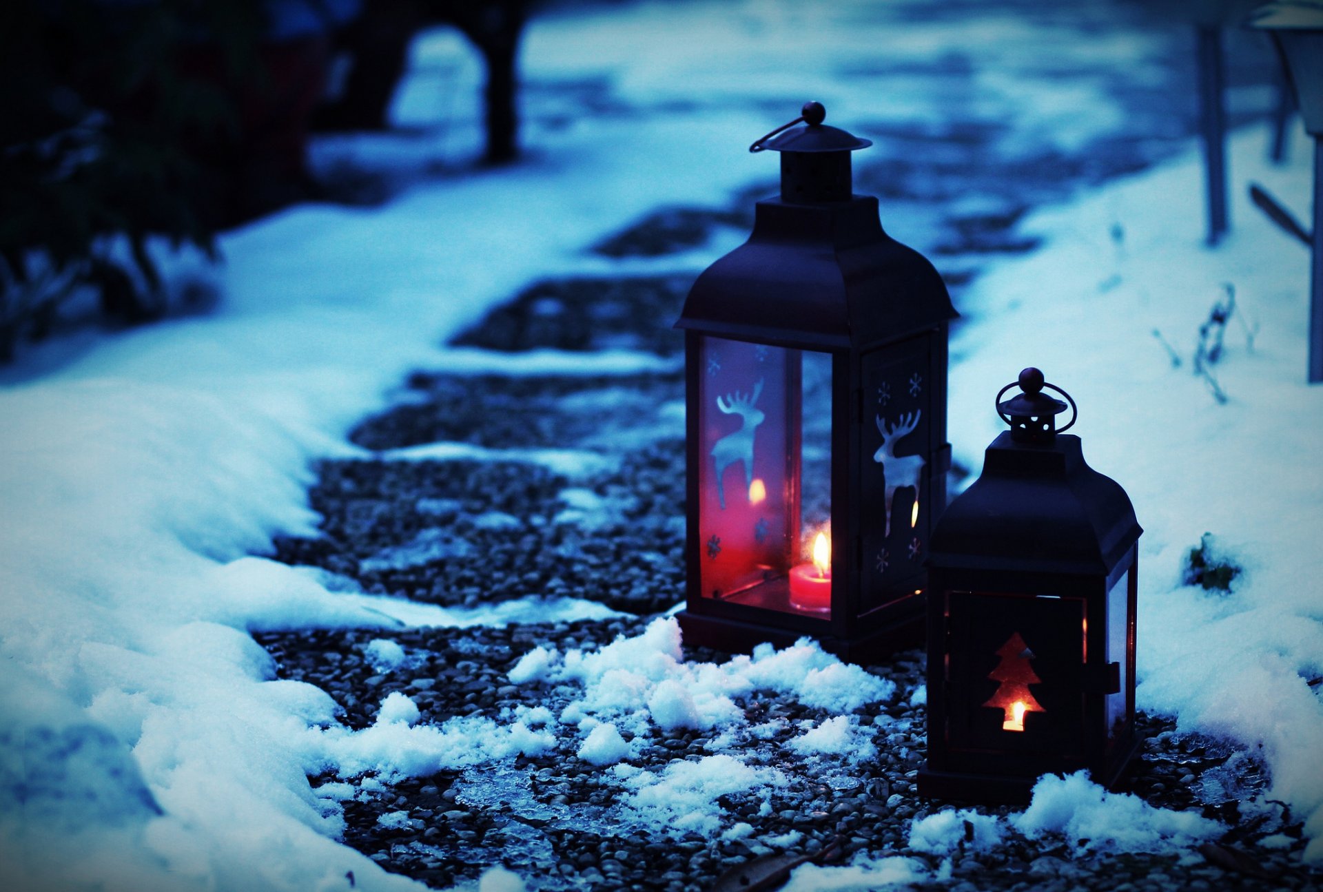 stimmung laterne taschenlampe schnee winter weihnachtsbaum muster hintergrund tapete widescreen vollbild widescreen widescreen