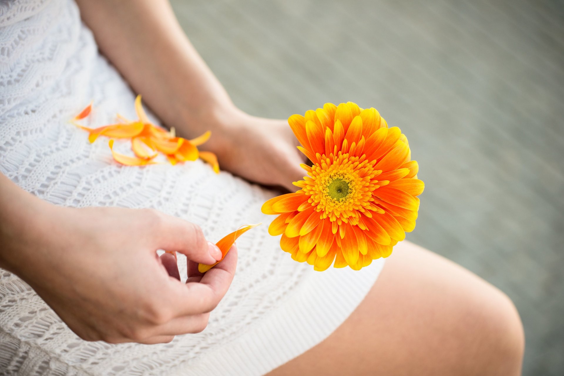 mood ragazza mani vestito fiore fiorellino fiori arancione petali sfocatura sfondo carta da parati widescreen schermo intero widescreen widescreen