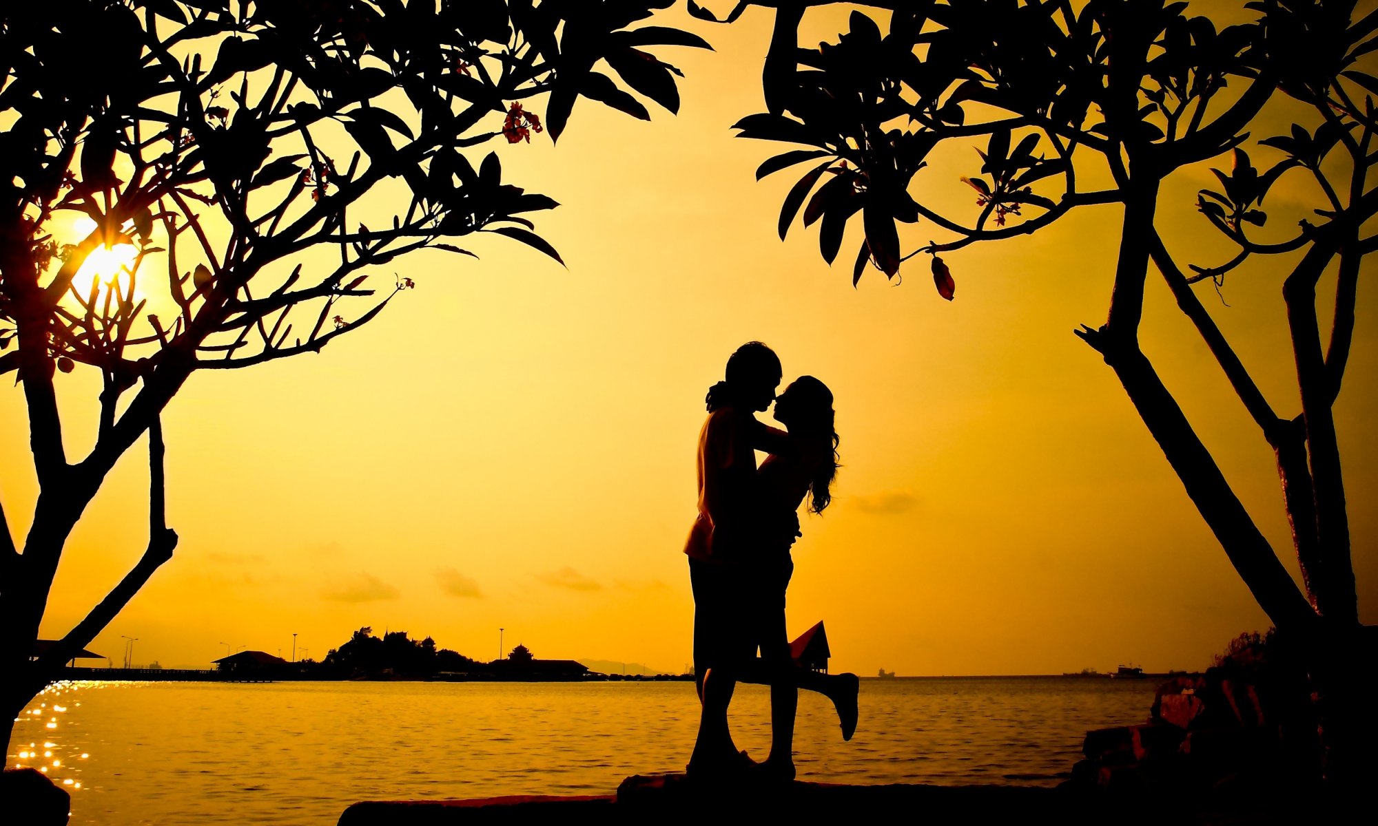 estados de ánimo chica novio amantes hombre mujer abrazo árboles árbol hojas silueta puesta de sol naturaleza mar amor fondo fondo de pantalla pantalla ancha pantalla completa pantalla ancha