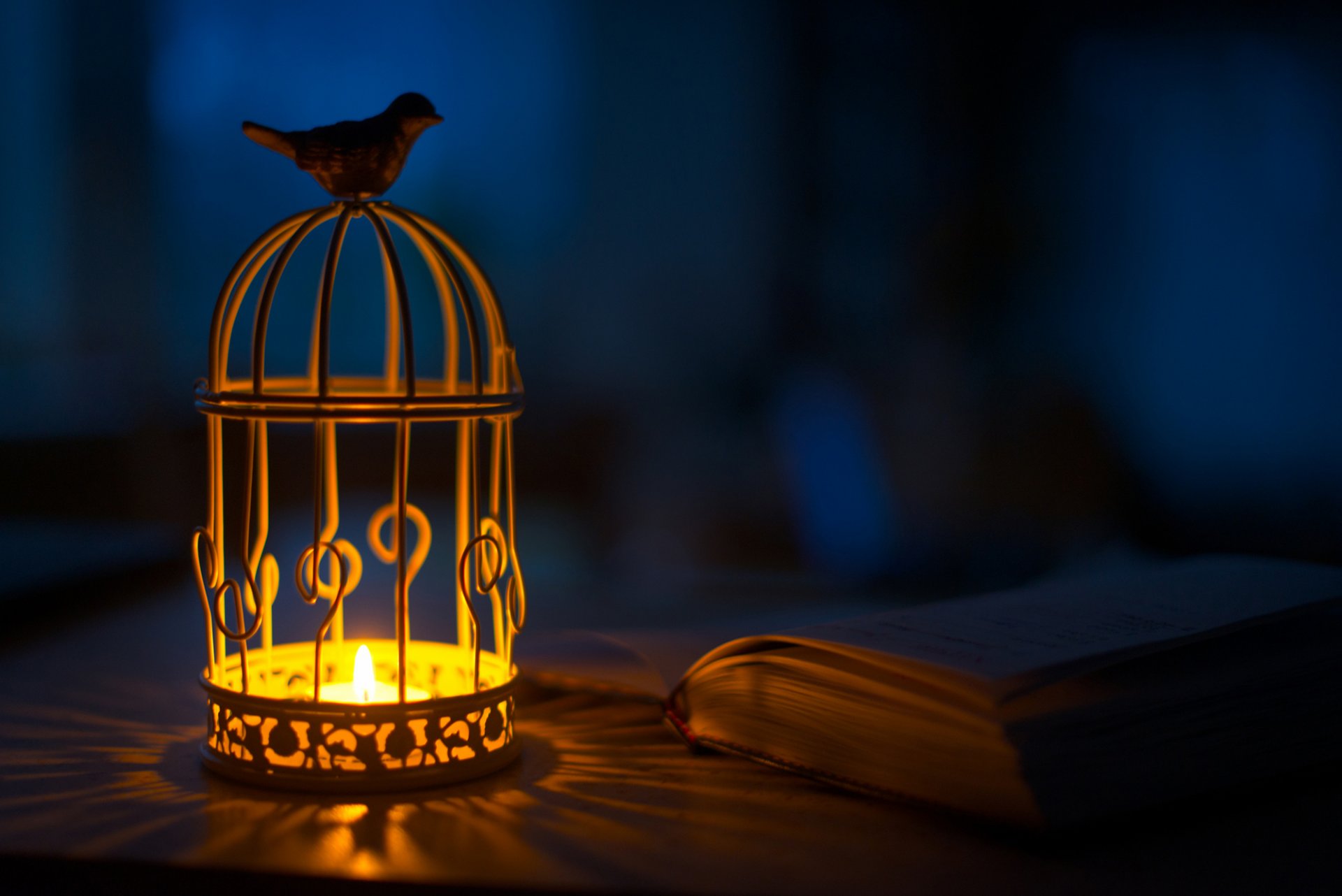 lantern flashlight bird candle shadows light book