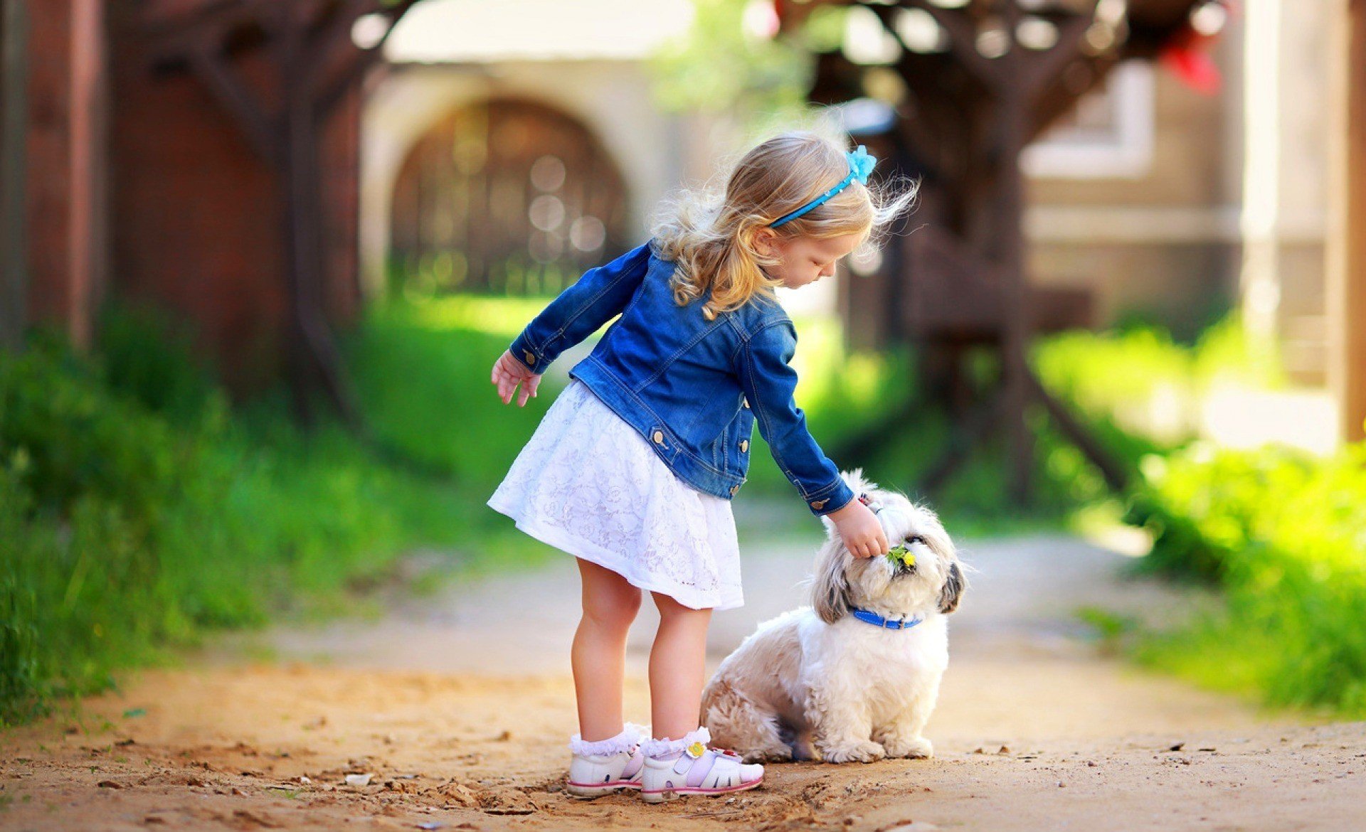 mood children girl headband decoration flowers flower dog dog dog dog collar nature grass greenery tree trees leaves foliage leaves bokeh blur background wallpaper widescreen fullscreen widescreen wide