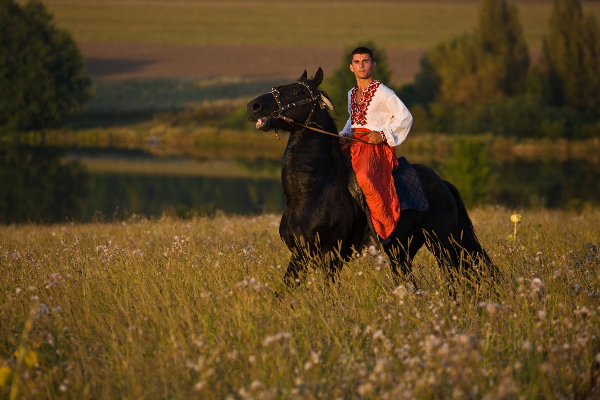 ukraine ukraine man horse field