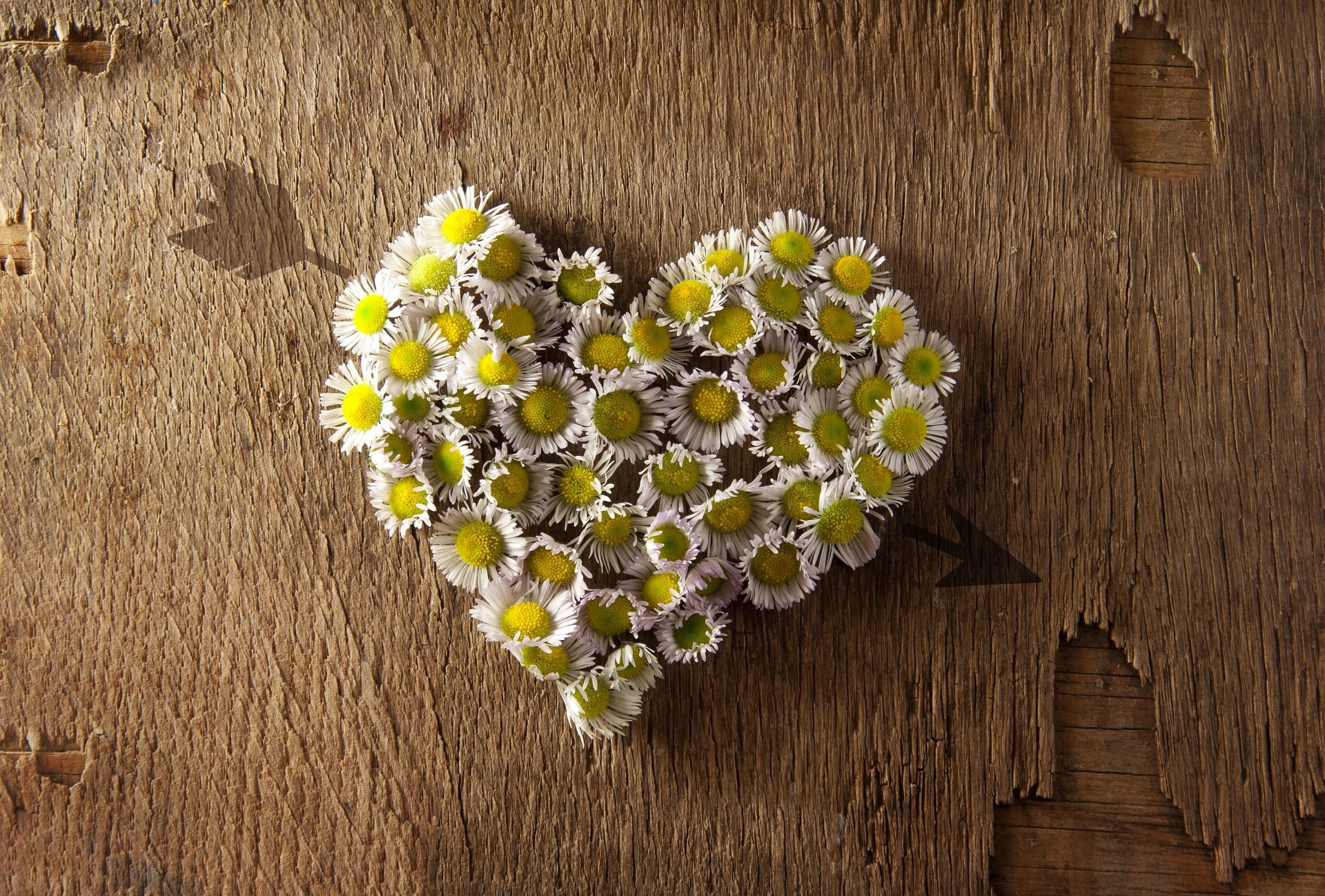 moods flowers flowers shape heart heart arrow background wallpaper widescreen fullscreen widescreen widescreen