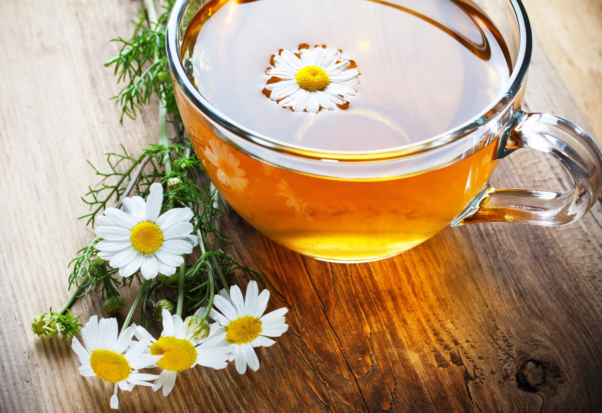 mood cup mug tea chamomile flowers background wallpaper widescreen fullscreen widescreen