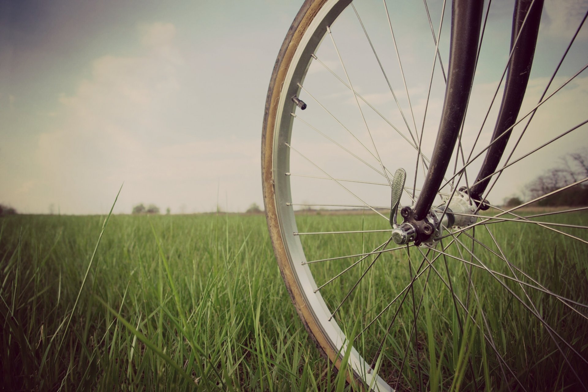 mood bike wheel grass greenery nature background widescreen fullscreen widescreen wallpaper