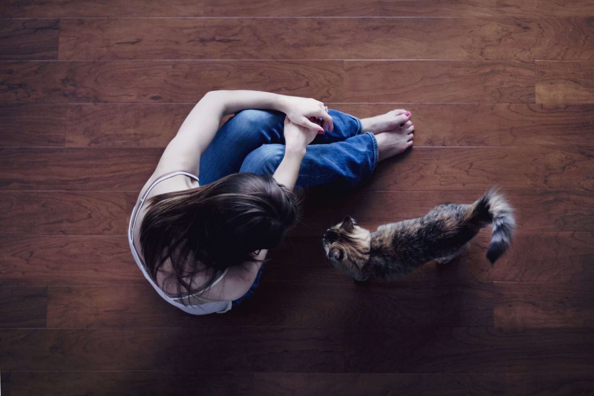 stimmung mädchen brünette sitzen beine jeans katze katze boden hintergrund tapete widescreen vollbild widescreen widescreen