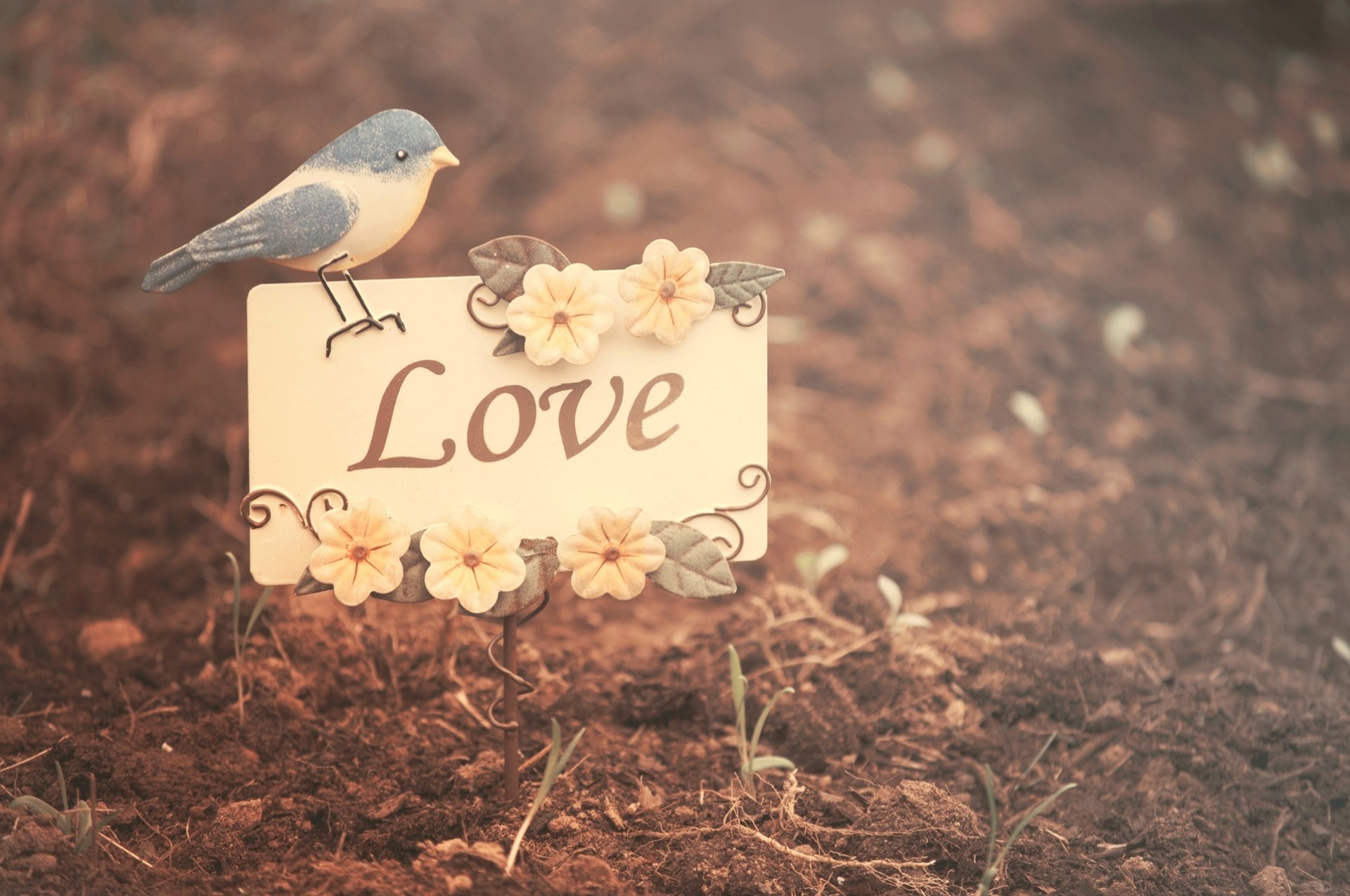 stimmungen vogel vogel liebe natur blätter blumen blumen hintergrund tapete