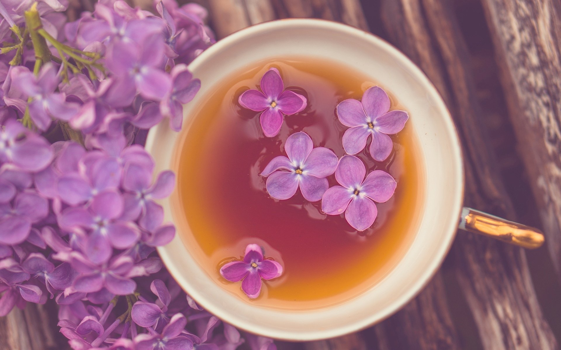 stimmungen becher tasse tee blumen lila blümchen tapete widescreen vollbild widescreen hintergrund widescreen