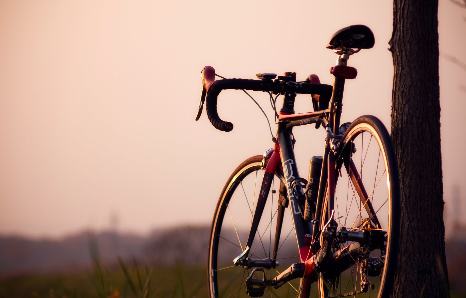 mood bicycle steering wheel wheel wheels tree trunk nature greenery blur background wallpaper widescreen fullscreen widescreen widescreen